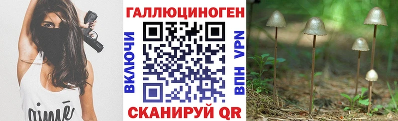 Галлюциногенные грибы Psilocybine cubensis Бугуруслан